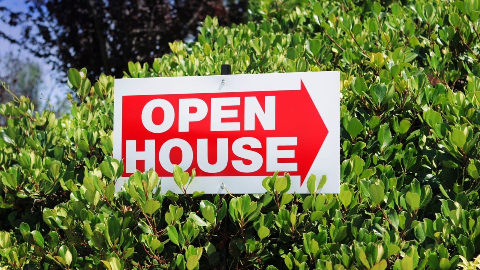 Open Day marketing upon request